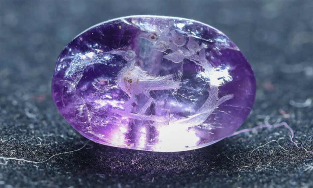 Amethyst Seal Showing Biblical Persimmon and Maybe an Ibis Found in Jerusalem