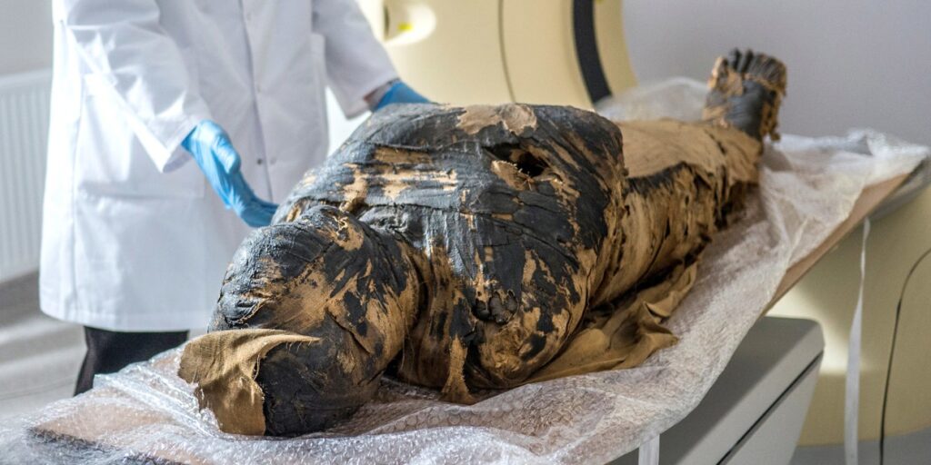 World's First known case of a pregnant mummy discovered by researchers