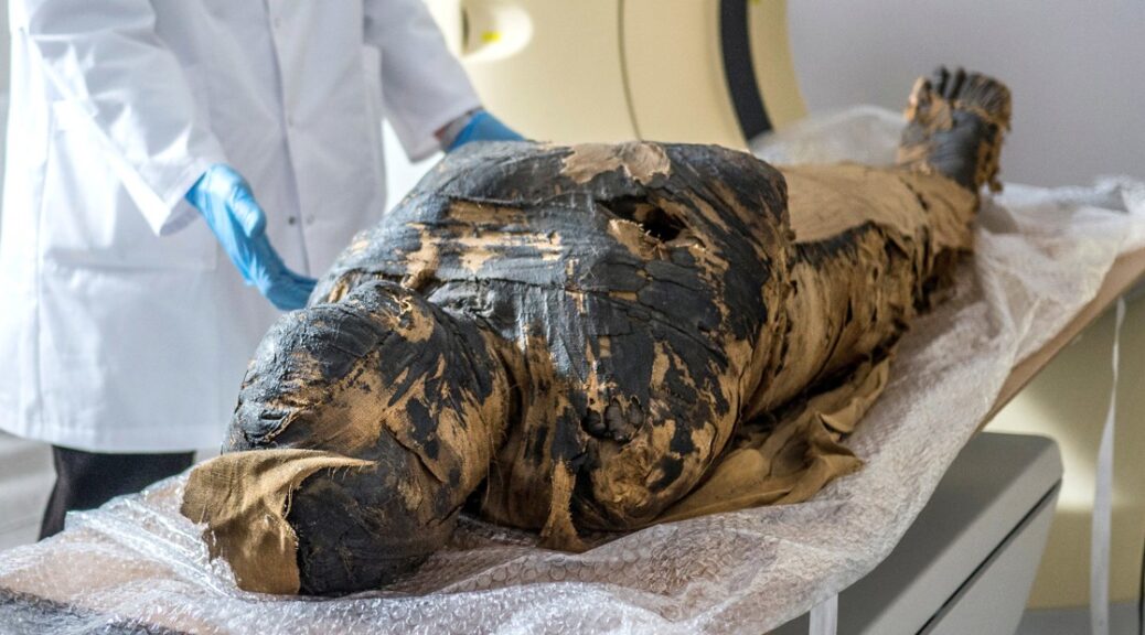 World's First known case of a pregnant mummy discovered by researchers