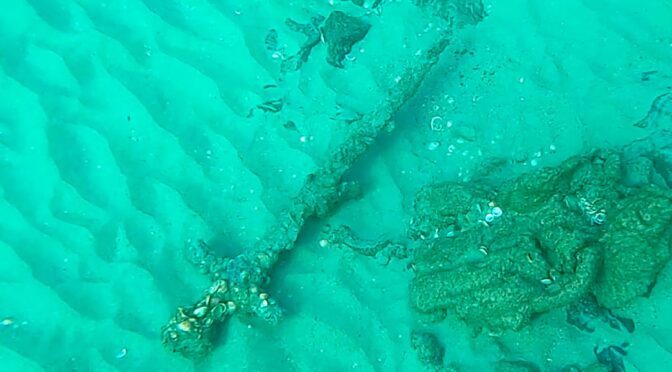 Scuba diver finds 900-year-old Crusader sword off the coast of Israel