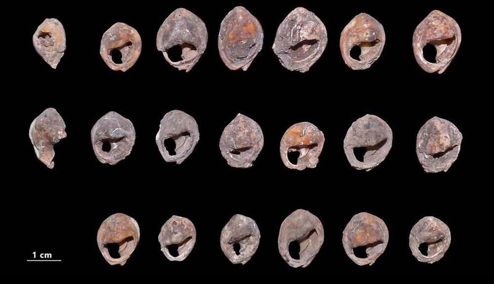 Shell beads found in Moroccan caves are at least 142,000 years old