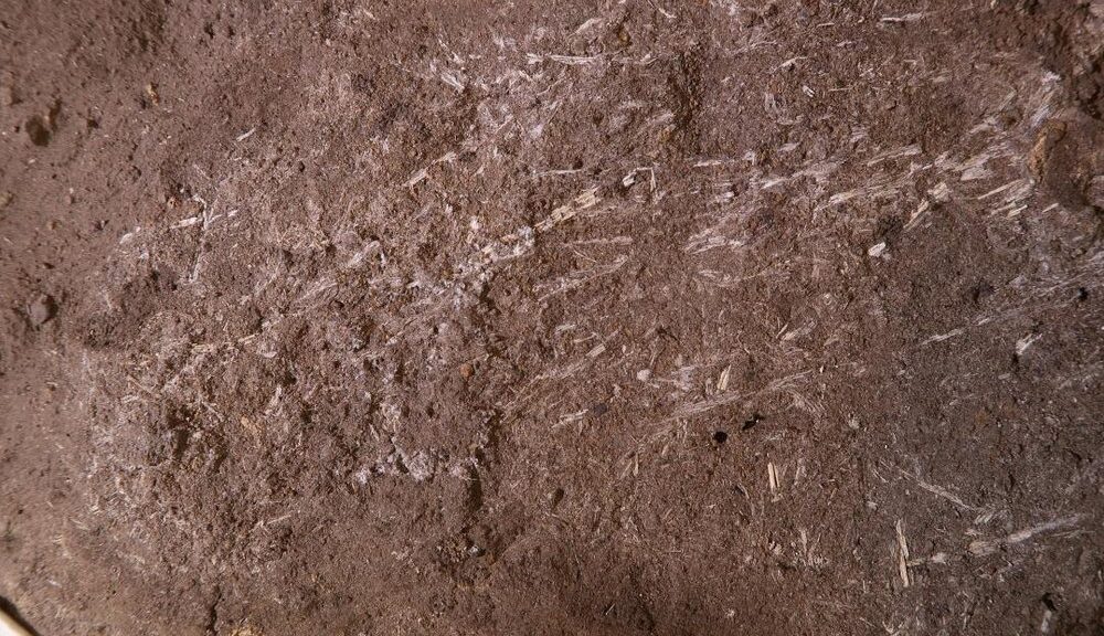 200,000-Year-Old Bedding Found in South Africa May Be World’s Oldest