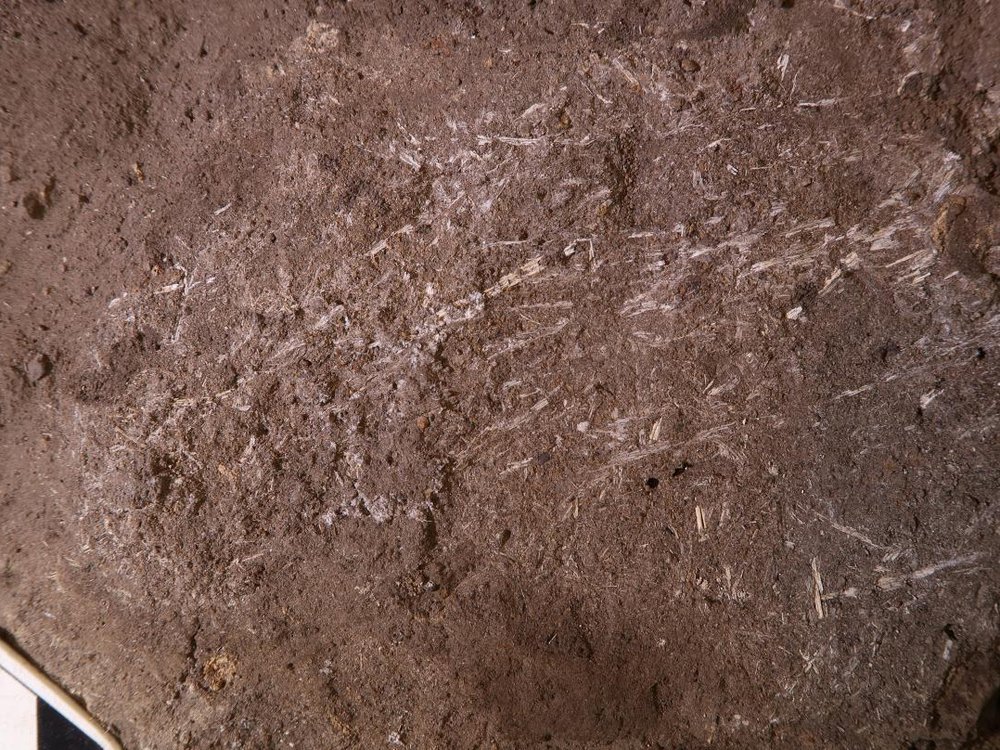 200,000-Year-Old Bedding Found in South Africa May Be World’s Oldest