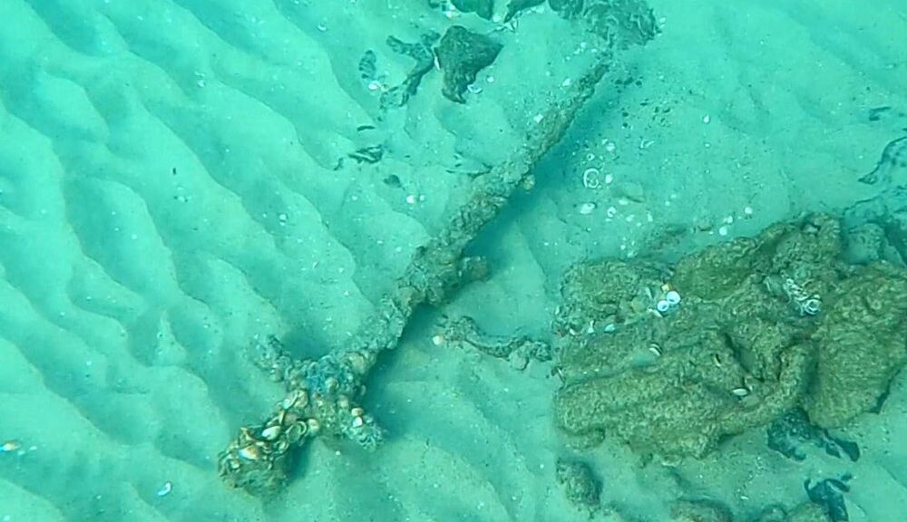 'Beautiful' 900-year-old Crusader sword discovered by diver off the coast of Israel