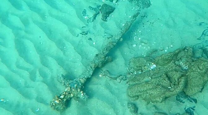 ‘Beautiful’ 900-year-old Crusader sword discovered by a diver off the coast of Israel
