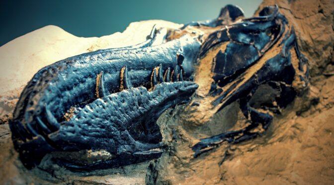 Spectacular Fossil of ‘Dueling Dinosaurs’ Can Finally Reveal Its Secrets