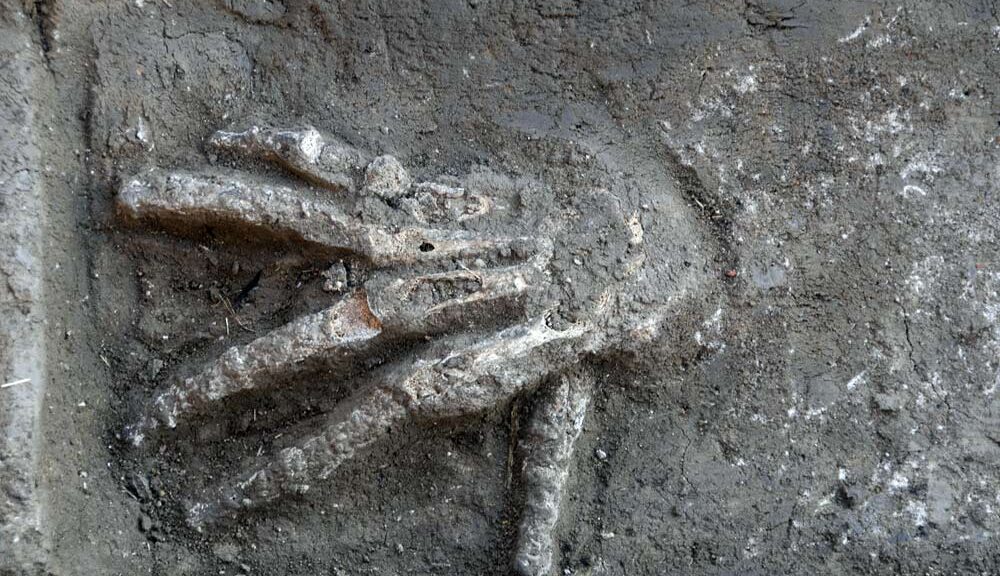 3600 Year Old Pits Full Of Giant Hands Discovered In Egypt Archaeologists Discovered