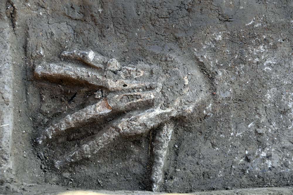 3600 Year Old Pits Full Of Giant Hands Discovered In Egypt Archaeologists Discovered