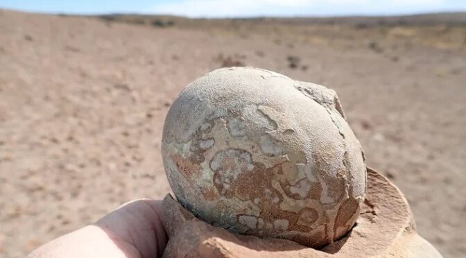 193-million-year-old nesting ground with more than 100 dinosaur eggs offers evidence that they lived in herds