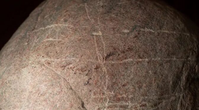 While feeding bison, a man discovers a rare 1,000-year-old rock carving by accident