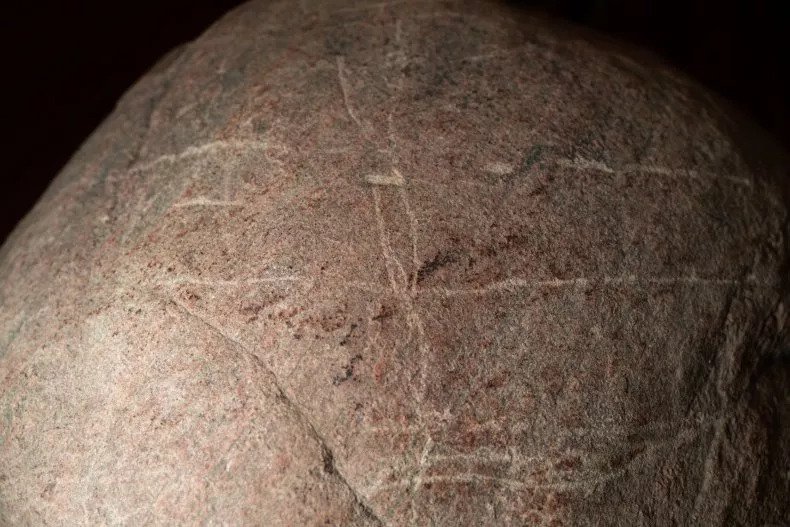 While feeding bison, a man discovers a rare 1,000-year-old rock carving by accident