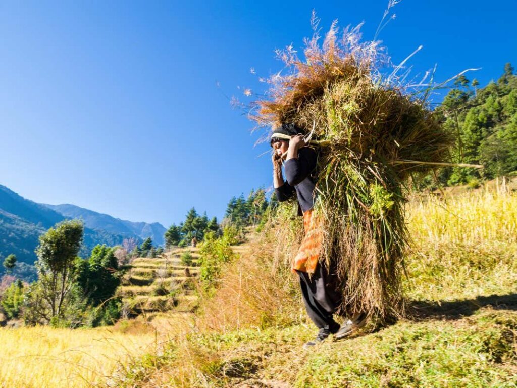 Origins of Japanese and Turkish language family traced back 9000 years