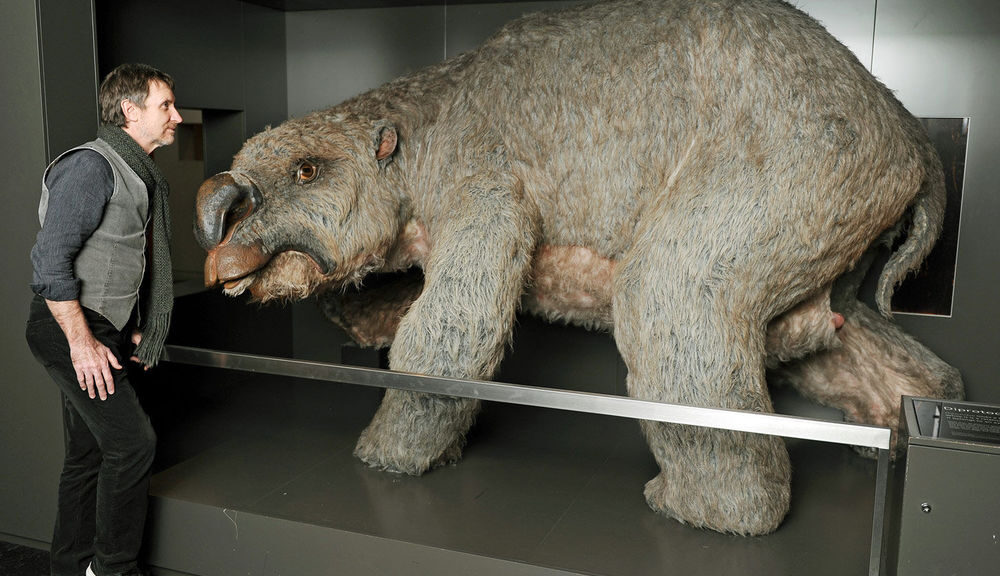 Fossil hunters unearth massive mega-wombat graveyard