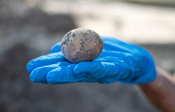 Researchers in Israel have discovered an intact chicken egg laid about 1,000 years ago—though the delicate object cracked in the lab
