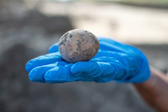 Researchers in Israel have discovered an intact chicken egg laid about 1,000 years ago—though the delicate object cracked in the lab