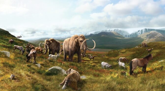 Mammoths Survived in Canada Until 5,000 Years Ago