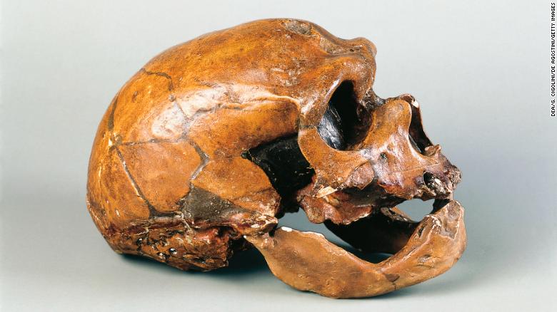 Neanderthal Known as “Old Man of La Chapelle” Re-Examined