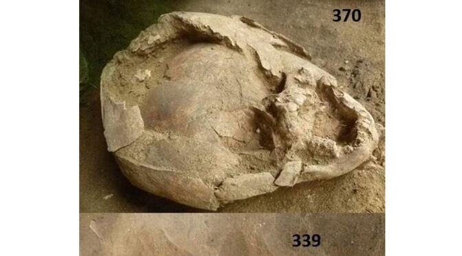Infants from 2100 years ago were found with helmets made of children's skulls