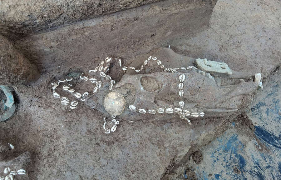 3,000-year-old clan cemetery uncovered in central China