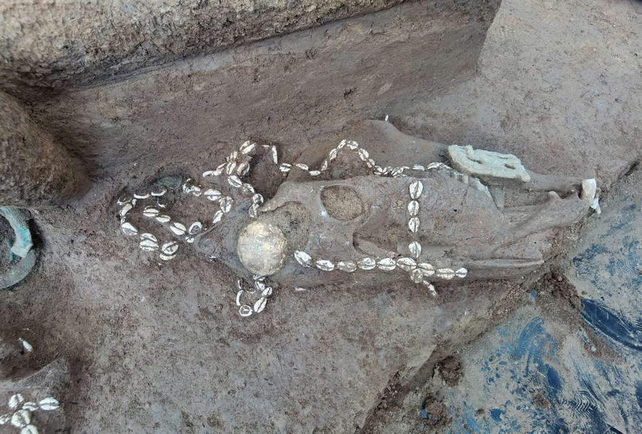 3,000-year-old clan cemetery uncovered in central China