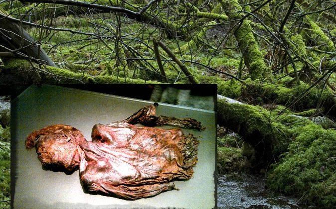 Cloncavan man: A 2,300-year-old murder mystery