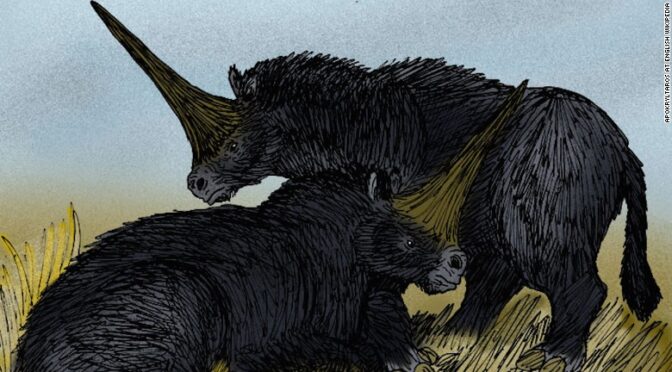 Did ‘unicorns’ co-exist with humans? Yes, but they were just rhinos