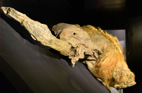 24,000-Year-Old Animal Found Alive After Being Preserved in Siberian Permafrost