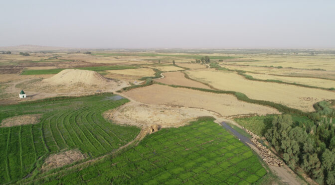Ancient Mesopotamian Discovery Transforms Knowledge of Early Farming