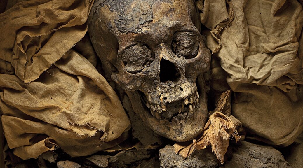 How Studying Mummies Could Cure Modern Diseases