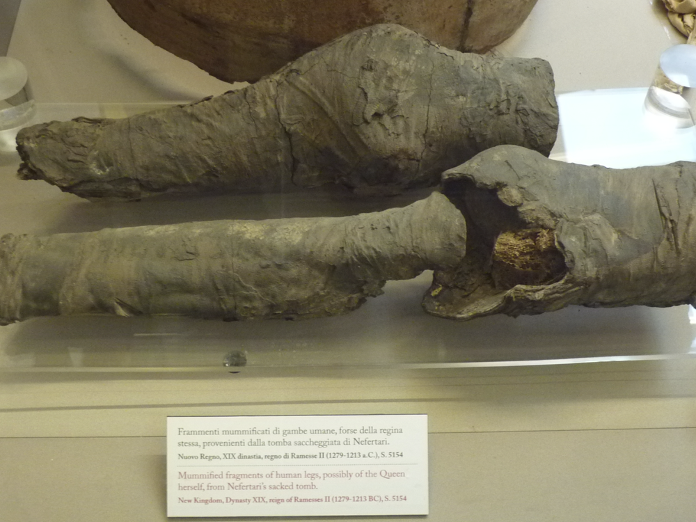 Archaeologists Identify Mummified Legs as Queen Nefertari's