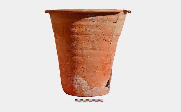 Analysis Identifies Ancient Roman Chamber Pot