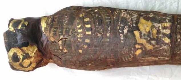 Ancient Egyptian bird mummy turns out to be human