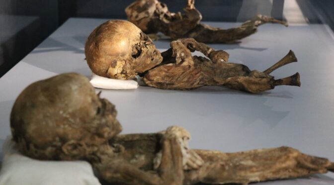 Cats and babies: Thousand-year-old mummies in Turkey’s Aksaray