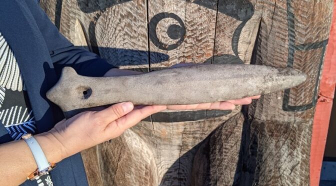 Ancient Coast Salish war club discovered in Vancouver Island man’s backyard