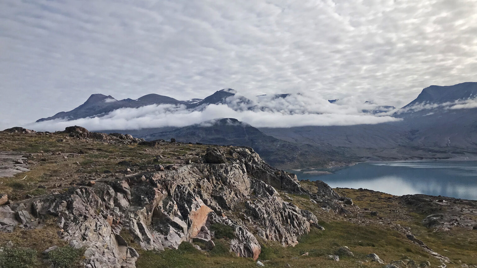 Why Did the Vikings Leave Greenland? ARCHAEOLOGY WORLD