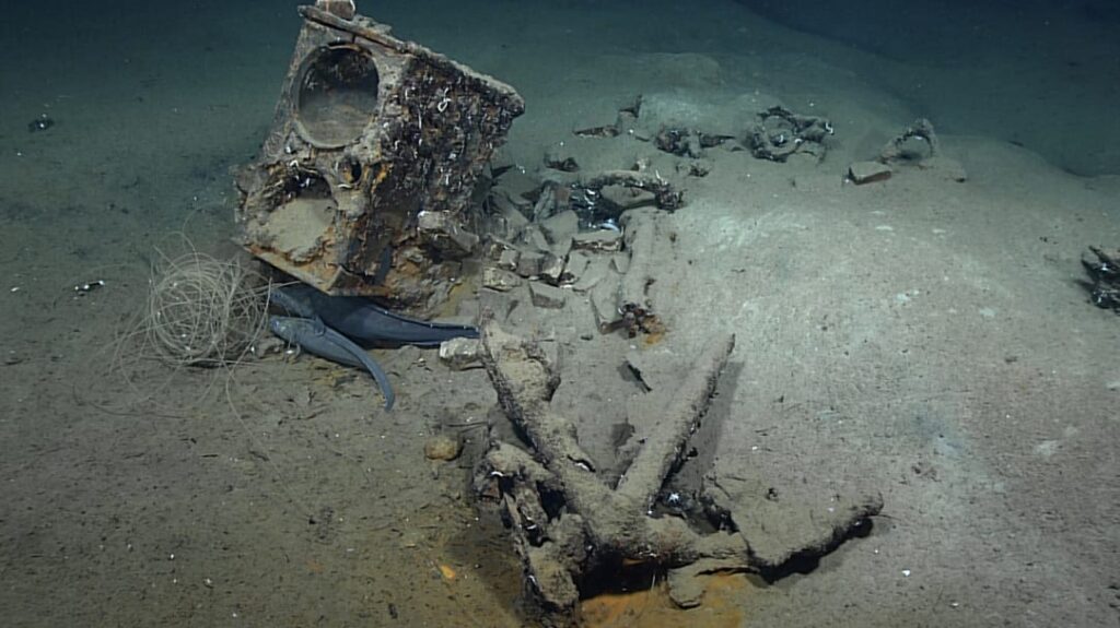 207-year-old whaling ship discovered in the Gulf of Mexico