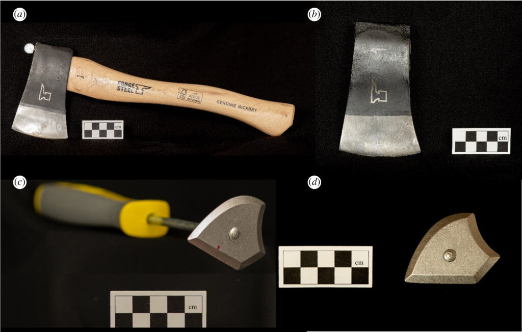 Experiments show why early humans began adding handles to tools