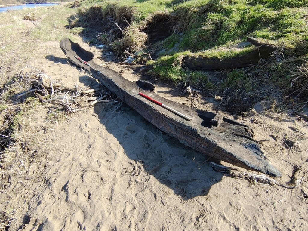 Log Boats Recovered from River in Northern Ireland