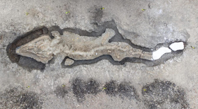 “Incredibly rare” 180-million-year-old giant “sea dragon” fossil discovered in the U.K.