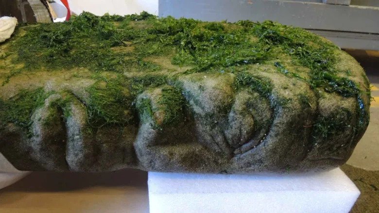 Carved stone pillar found on B.C. beach identified as an Indigenous artifact