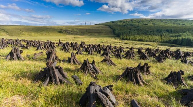 Ireland’s Peat Bogs Preserve Sacrificial Bodies & Artefacts