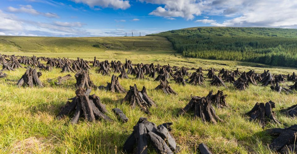 Ireland's Peat Bogs Preserve Sacrificial Bodies & Artefacts