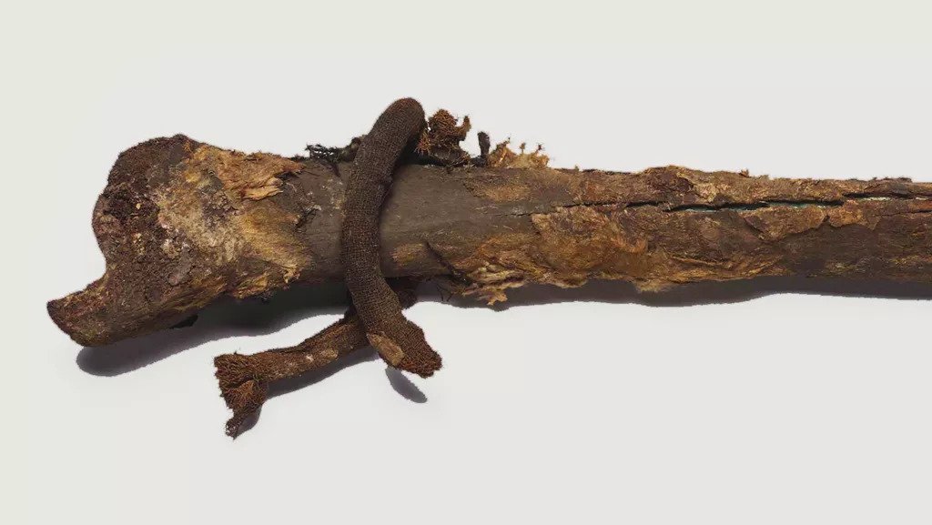 Researchers stumbled upon a box of human bones that had been missing for 100 years