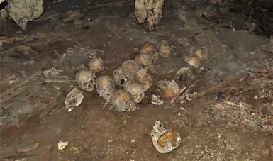 Collection of Ancient Toothless Skulls Analyzed in Mexico