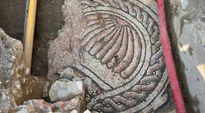 ‘Theodoric the Great’ villa mosaic found near Verona in Italy