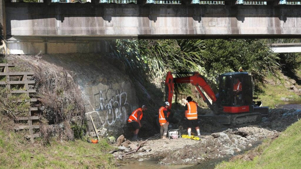 Remains of 19th-Century Bridge Found in New Zealand