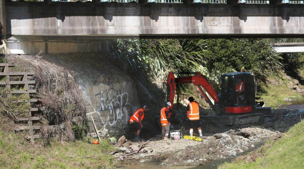 Remains of 19th-Century Bridge Found in New Zealand