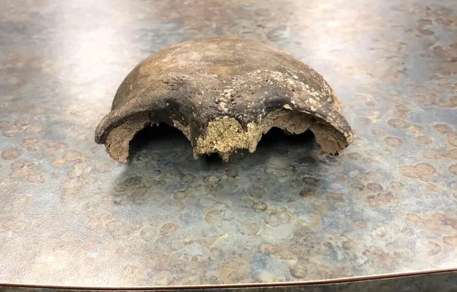 Debacle Over 8,000-year-old Human Skull Posted On Facebook