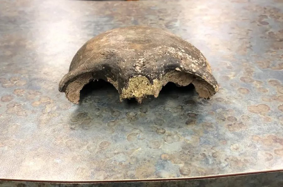 Debacle Over 8,000-year-old Human Skull Posted On Facebook
