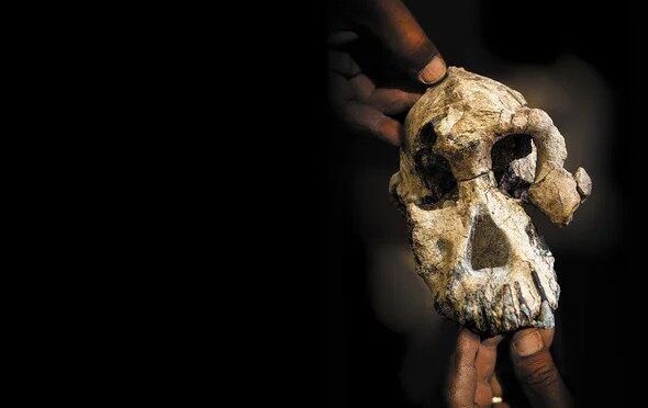 The Face of the Earliest Human Ancestor, Revealed